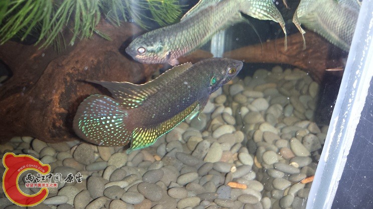 20150316_210430.jpg