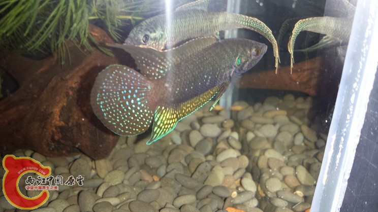 20150316_210438.jpg