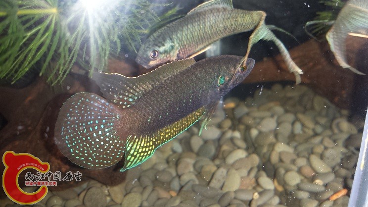 20150316_211135.jpg