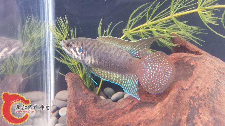 20150317_142557.jpg