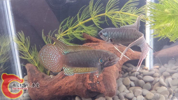 20150317_143315.jpg