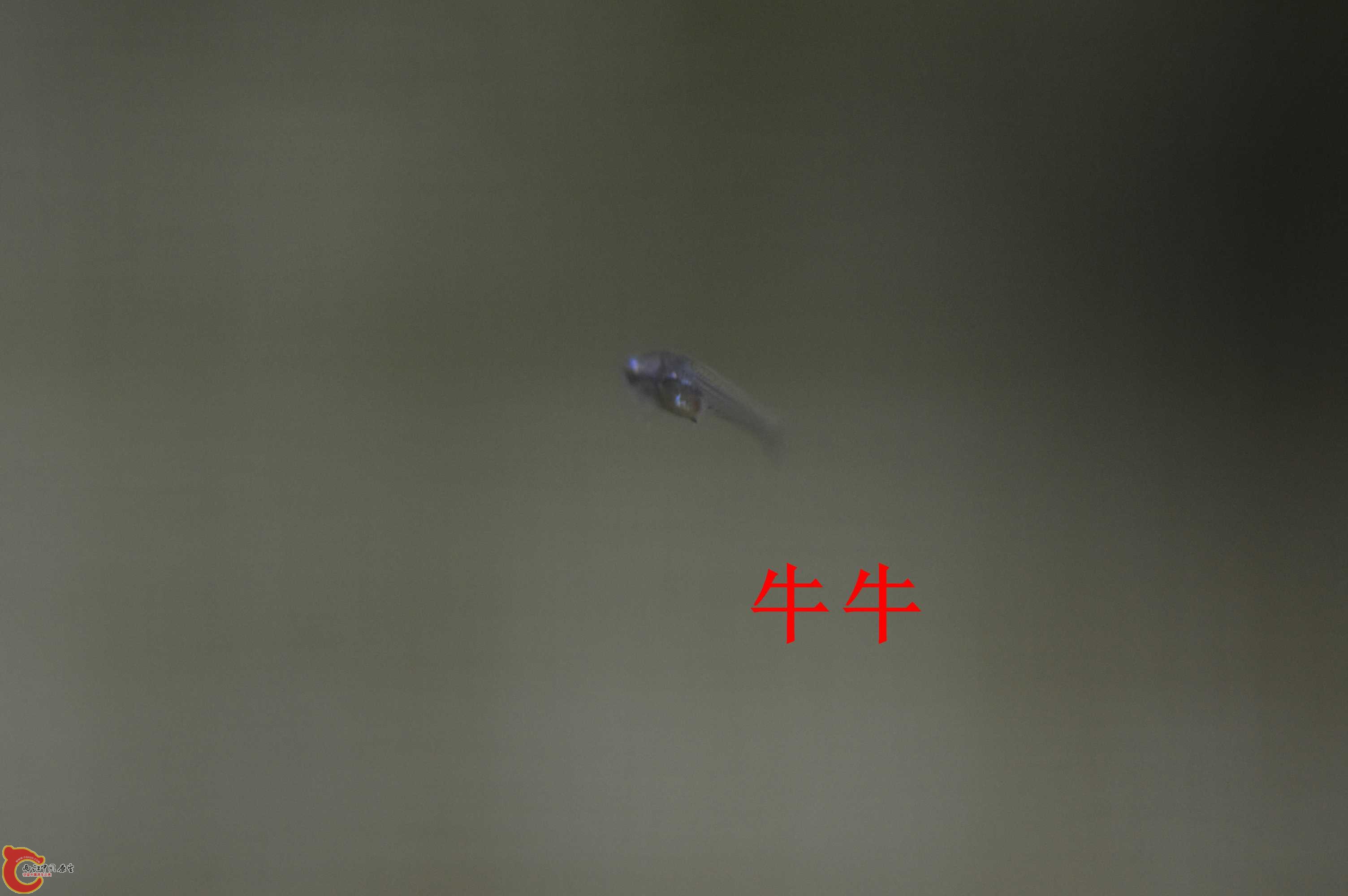 DSC_0002.jpg
