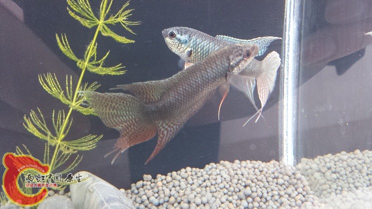 20150320_150835.jpg