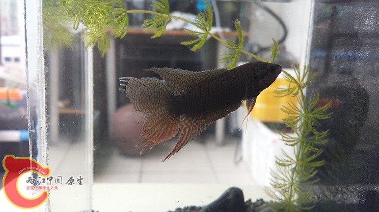 20150320_151526.jpg