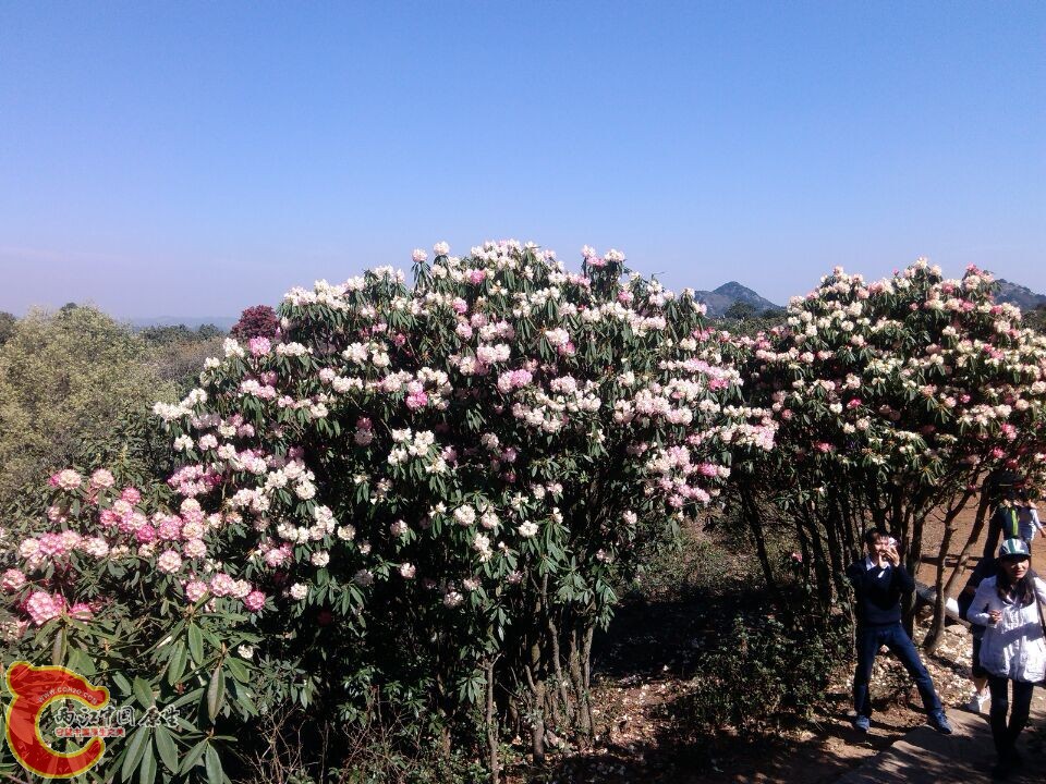 QQ图片20150320222234.jpg