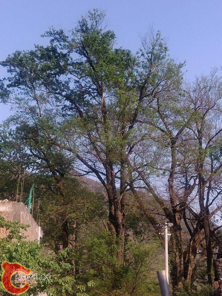 QQ图片20150320222323.jpg