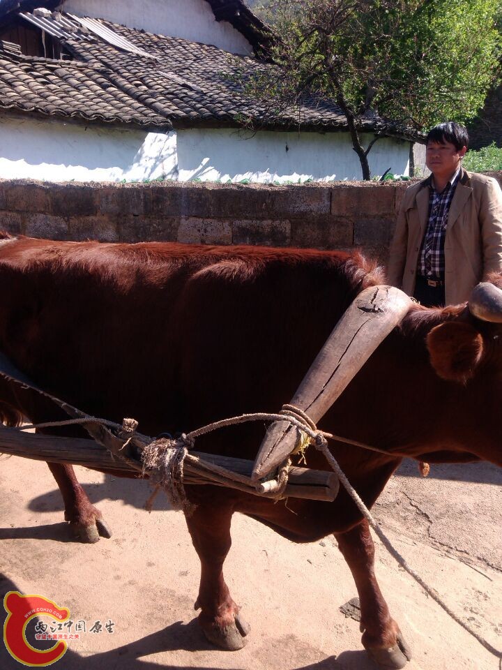 QQ图片20150320222427.jpg