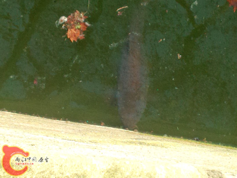 P50320-154558_副本.jpg