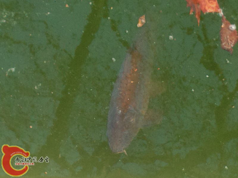 P50320-154703_副本.jpg