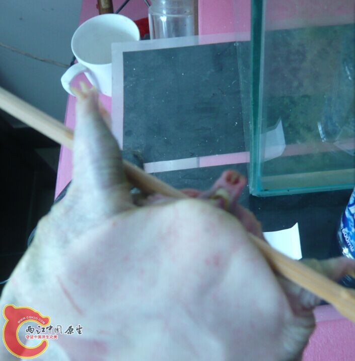 )AO0FZ7[`8{9)353CKN]GJW.jpg