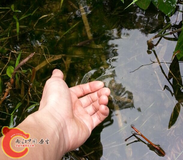 QQ图片20150324194818.jpg