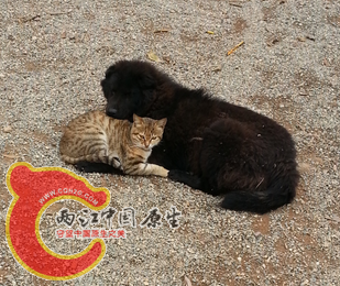 QQ图片20150324200153.png