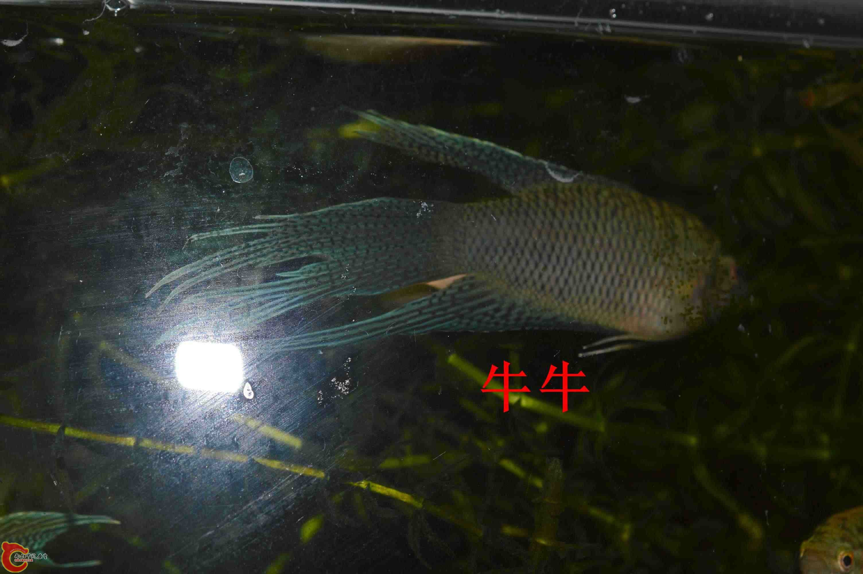 DSC_0004.jpg