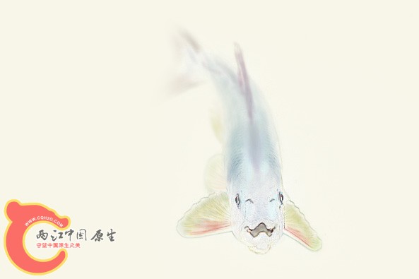 89.pic本副本副本.jpg