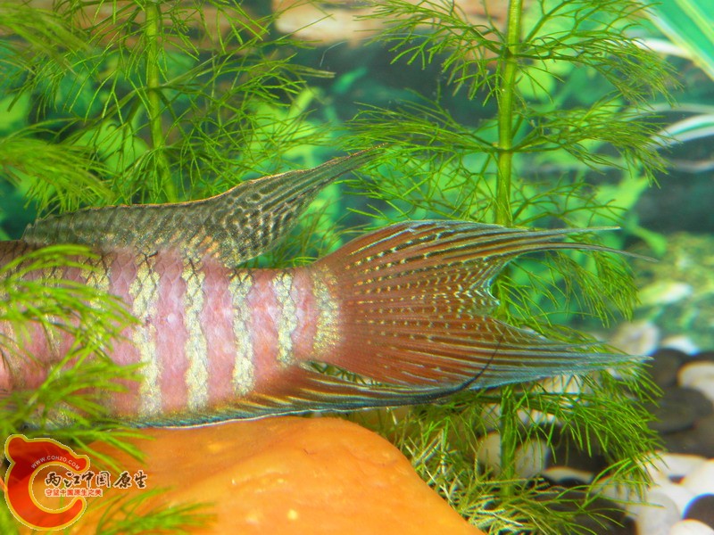P3250003.jpg