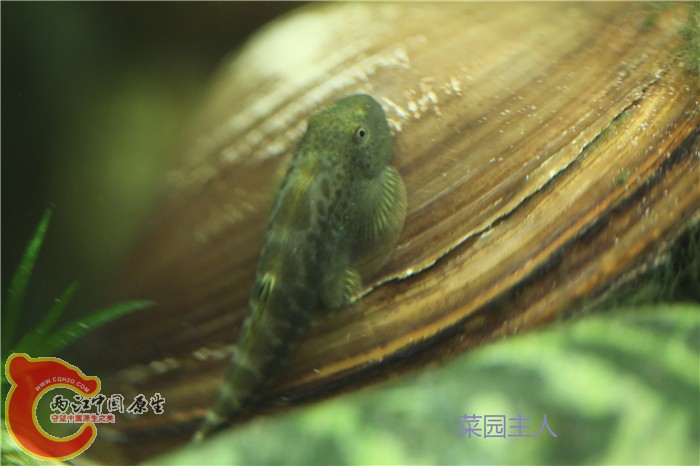 照片 111.jpg