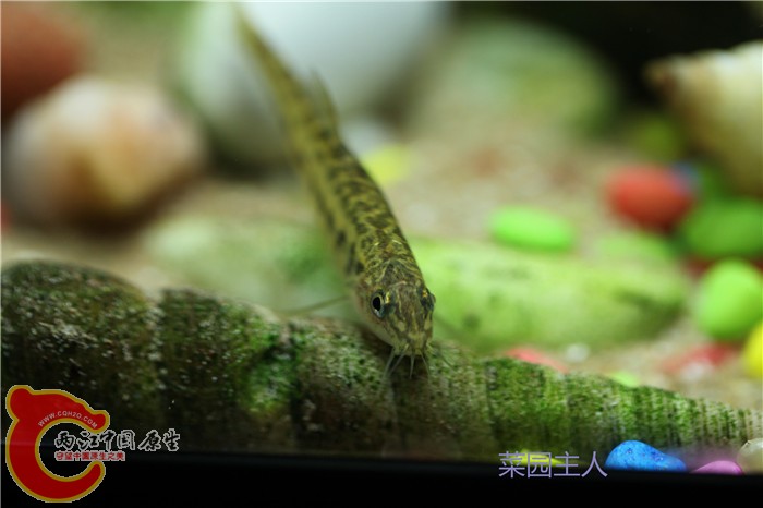 照片 114.jpg