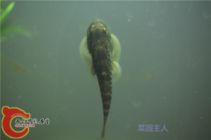 照片 118.jpg