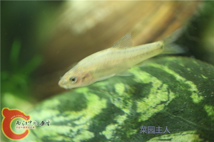 照片 142.jpg