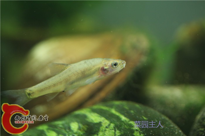 照片 147.jpg