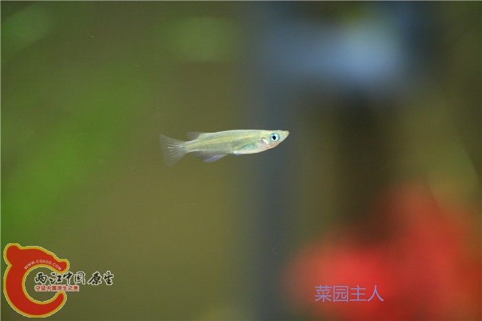 照片 181.jpg