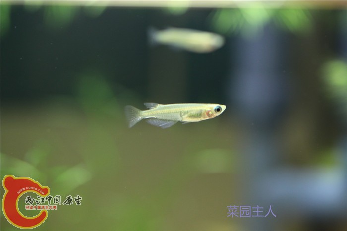 照片 197.jpg
