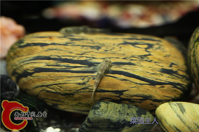 照片 204.jpg