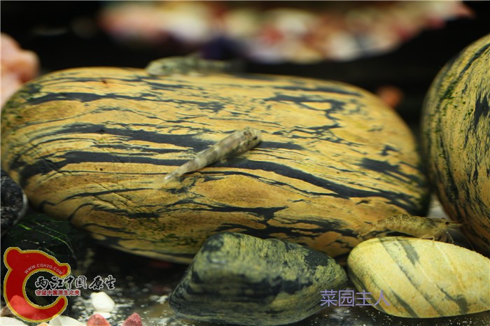 照片 206.jpg