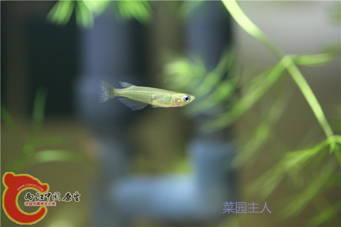 照片 213.jpg