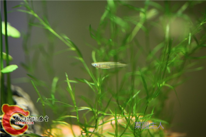 照片 223.jpg