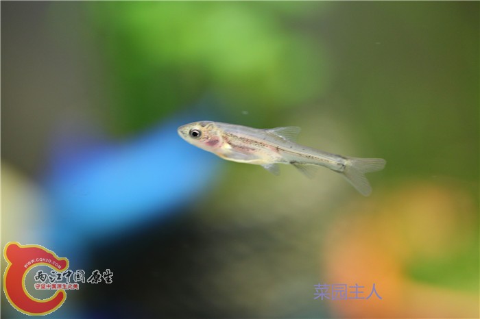 照片 232.jpg