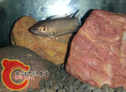 QQ图片20150330002014.png