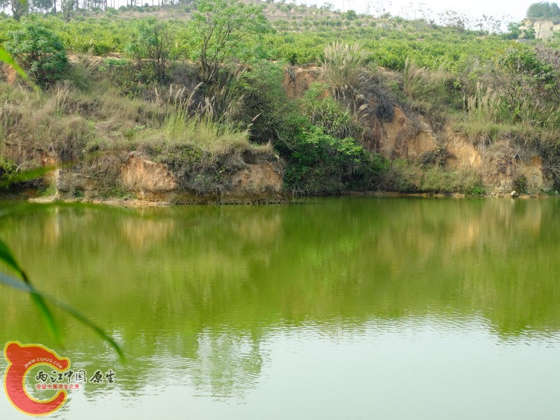DSC01689.jpg