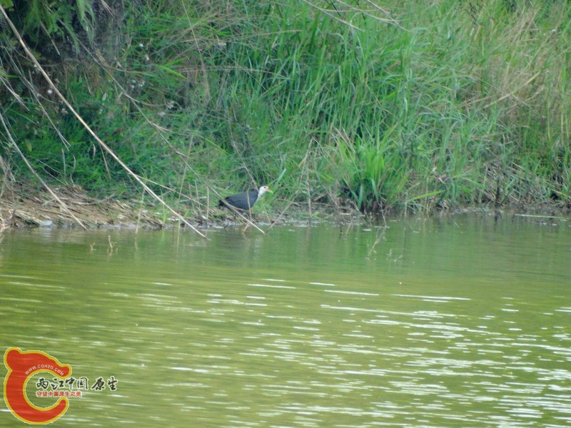 DSC01693.jpg