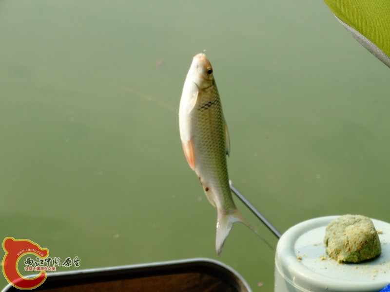 DSC01697.jpg