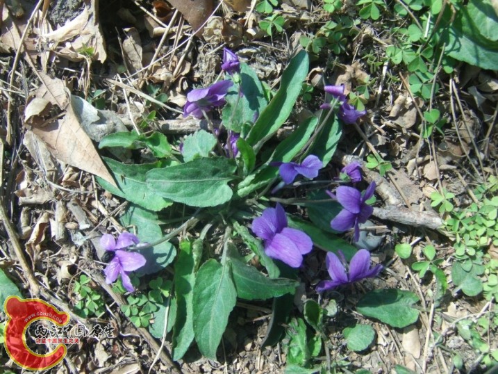 GEDC0021.JPG