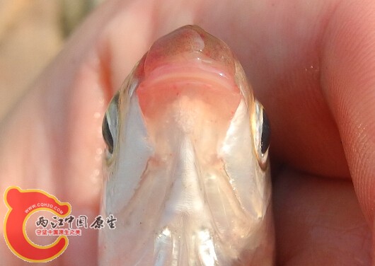 QQ截图20150331103855.jpg
