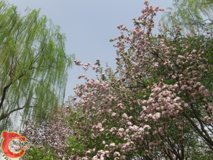 GEDC0080.JPG