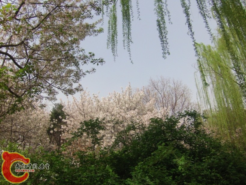 GEDC0104.JPG