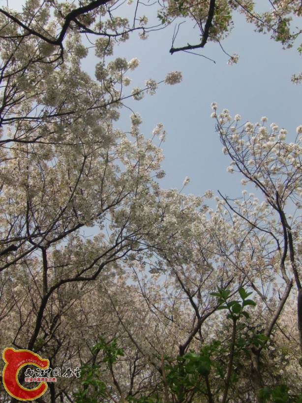 GEDC0119.JPG