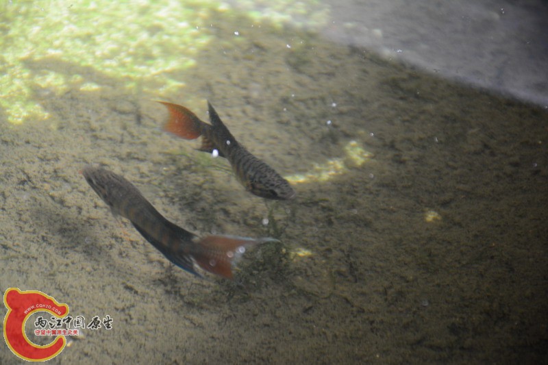 照片 243.jpg