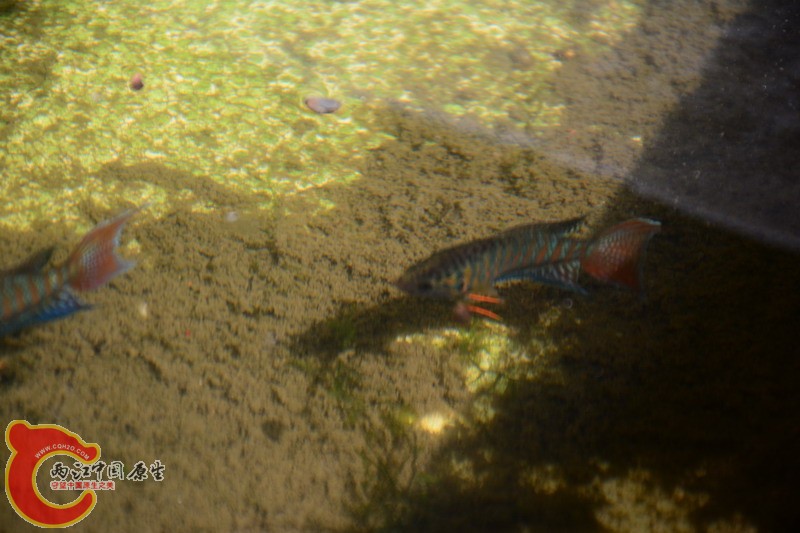 照片 251.jpg