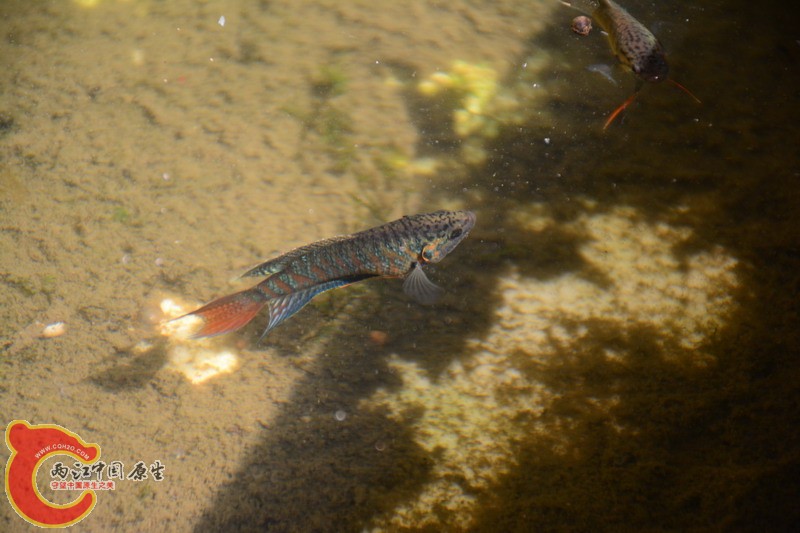 照片 253.jpg