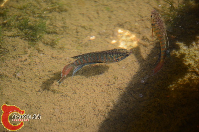 照片 256.jpg