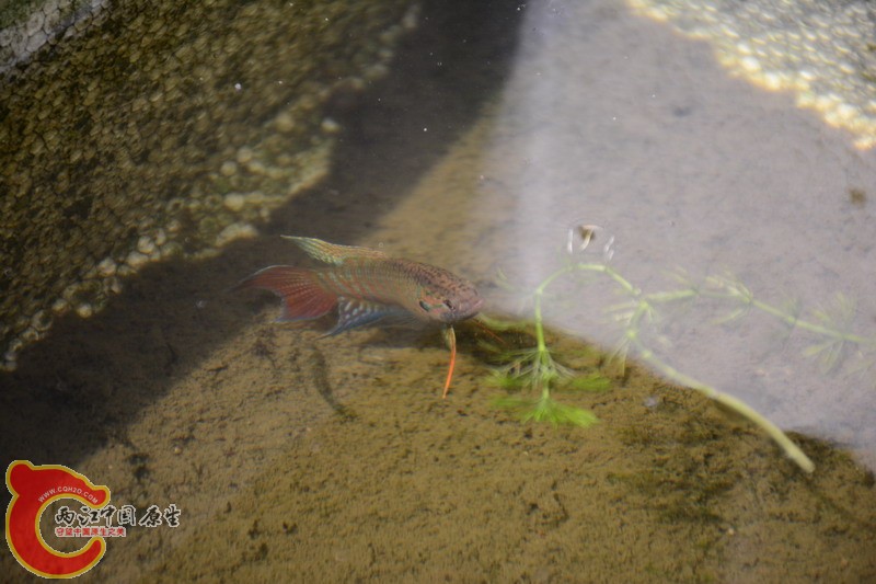 照片 259.jpg