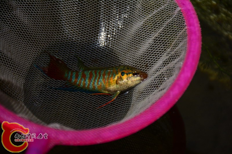 照片 265.jpg