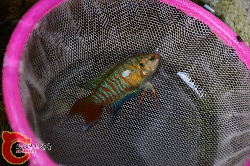 照片 270.jpg