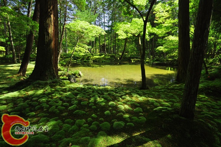 12西芳寺《京都》.jpg