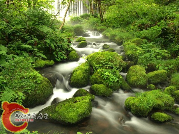 13奥大山 《鳥取県》.jpg