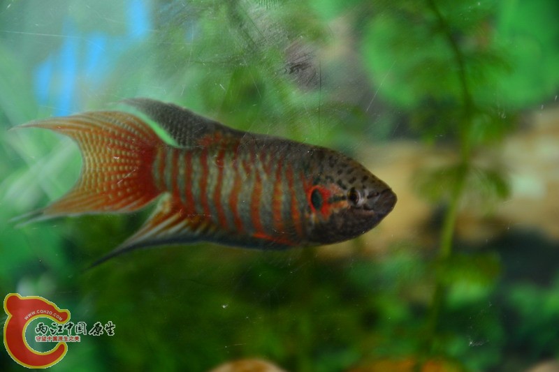照片 215.jpg